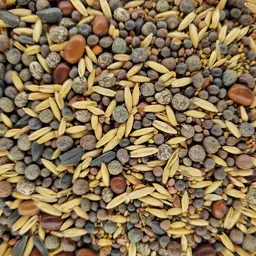 20231109_102524 ufa humus.jpg