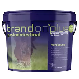 brandon gastrointestinal.jpg