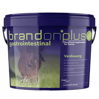 brandon gastrointestinal.jpg