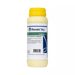 Rondo Sky 1 l Syngenta.jpg