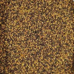 20231109_102002 ufa alpha.jpg