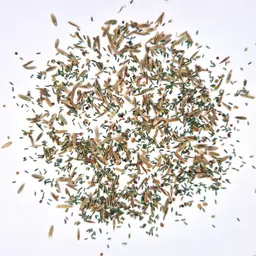 40 AR Pastor (1).jpg