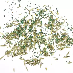 UFA 440 A HS_Saatgut.jpg