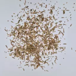 UFA U-431 AR (3).jpg