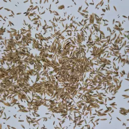 UFA Reitbahn (2).jpg