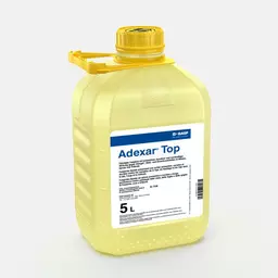 Adexar_Top_58295347_CH.jpg