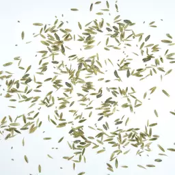 UFA Pferdeheu MS_Saatgut.jpg