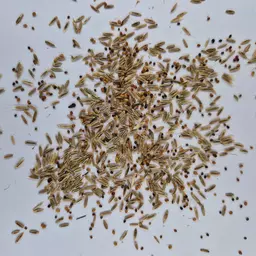 UFA Siloball (2).jpg