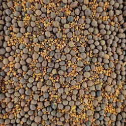 20231109_101624 ufa inka.jpg