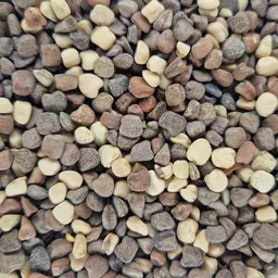 Platterbsen Merkur (1).jpg