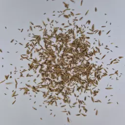 UFA Mulch-Mischung feucht (2).jpg