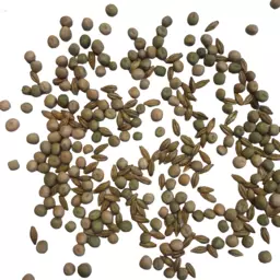 Mischung Wintergerste_Erbsen ungeb. Hintergrund weiss.png