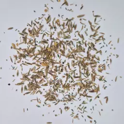 UFA 431 AR HS SH (2).jpg