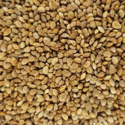 Esparsette Perly (2).jpg