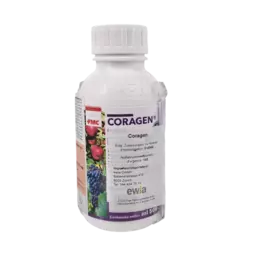 Coragen 1.png
