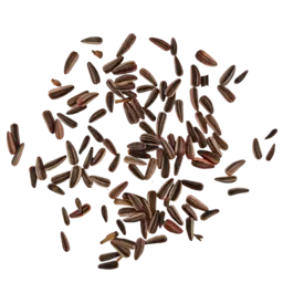 Sonnenblumen gebeizt (1).png