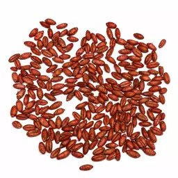 Triticale gebeizt.png