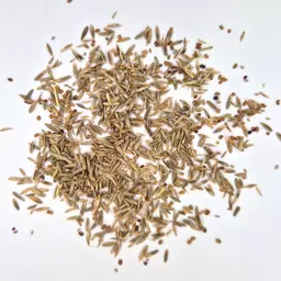 UFA King Gold (4).jpg