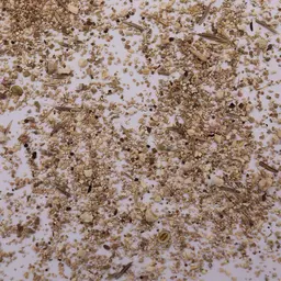 UFA-Krautsaum trocken CH-G.JPG