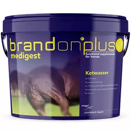 brandon medigest.jpg