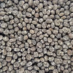 Sulimo Süsslupine BIO (2).jpg