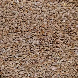 Sommer Öllein Progress (2).jpg