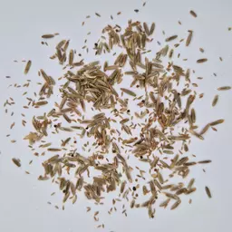 UFA U-240 AR (1).jpg