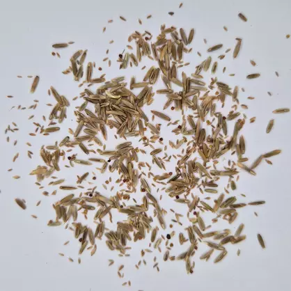 UFA U-240 AR (1).jpg