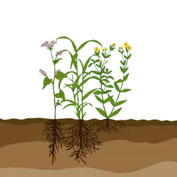 UFA_Express_Mischung.ai