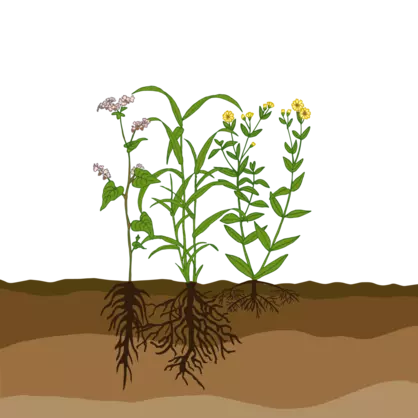 UFA_Express_Mischung.ai