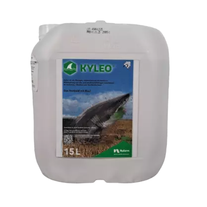 Kyleo.png