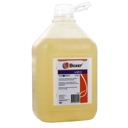 Boxer Syngenta 10lt 36276.png
