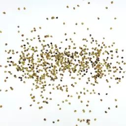 Mattenklee 4n Astur_Saatgut.jpg