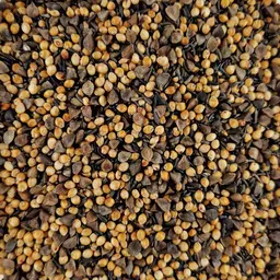 20231109_102158 ufa express.jpg