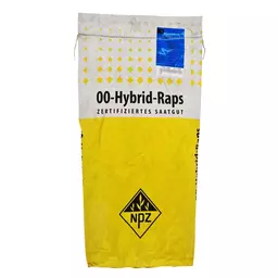 Raps_NPZ_Tempo (2).jpg