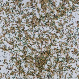 UFA Swiss HS MS (3).jpg