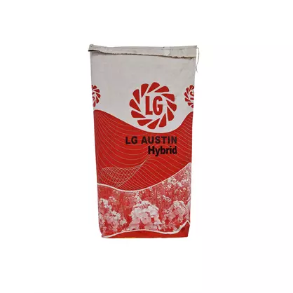 Raps_LG_Austin (2).jpg