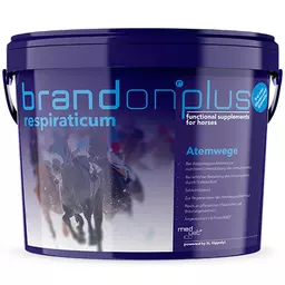 brandon respiraticum.jpg