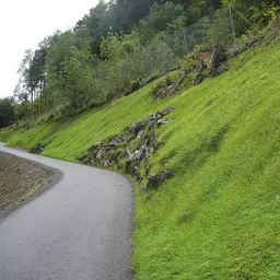 UFA Vertibord humusiert.jpg