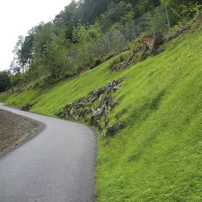 UFA Vertibord humusiert.jpg