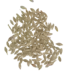 melocont_pilzgranulat_gegen_maikäferengerlinge_6.png