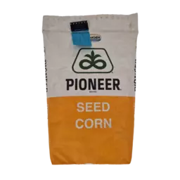 Pioneer Mais.png