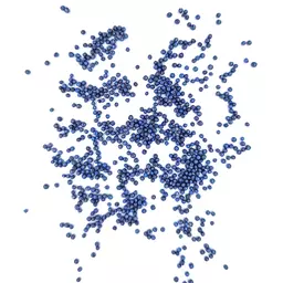 Raps Saatgut gebeizt DK Exlibris.jpg