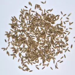 UFA Pferde Haylage (3).jpg