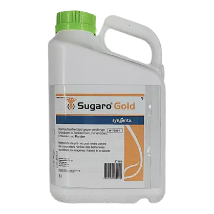 Sugaro Gold - 309243.png