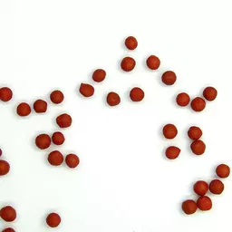 Futterrüben DLF Beet Seed.jpg