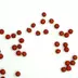 Futterrüben DLF Beet Seed.jpg