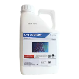 Cyflodium PI - 313718.png