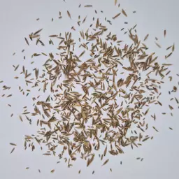 UFA Mulch Mischung Viti (2).jpg