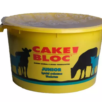 Cake Bloc Junior.jpg